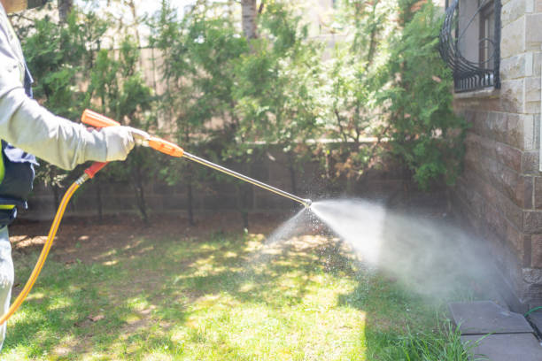 Best Seasonal Pest Control (e.g., summer mosquitoes, winter rodents)  in Northern Cambria, PA